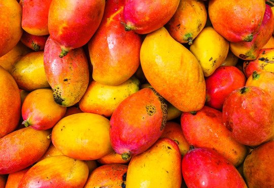 Курка з м’ятою і багато фруктів. Чого очікувати від кухні Бразилії