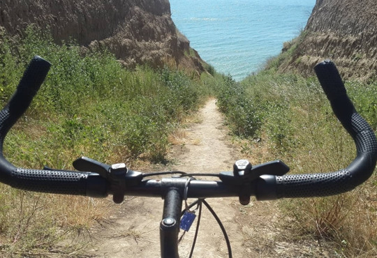 У лісах навколо Олешківських пісків влаштують велоперегони