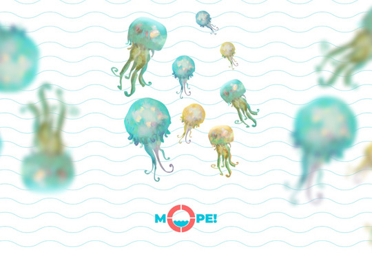 Сезон 2021. Чи буде знову так багато медуз у Чорному та Азовському морях?