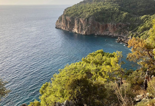 Шрі–Ланка пом'якшила умови в'їзду для вакцинованих туристів