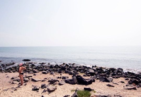 Веб-камеры Затоки