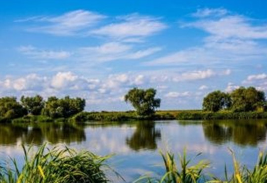 Два національні парки на українському узбережжі можна побачити онлайн