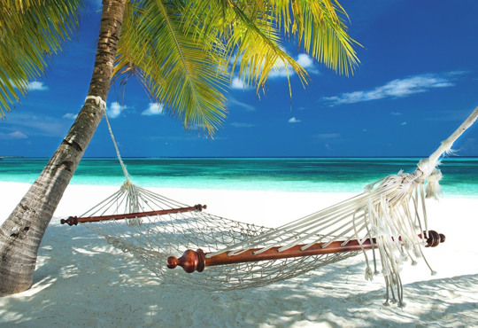 Как слетать на Мальдивы практически по цене Египта