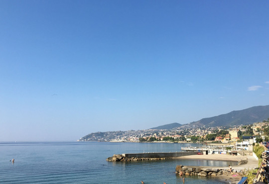 Чому море має особливий запах?