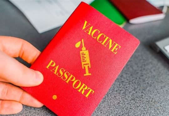 Паспорт вакцинації можуть запровадити в Україні вже в липні