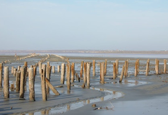 Куяльник і Жевахова гора навесні: куди поїхати неподалік Одеси