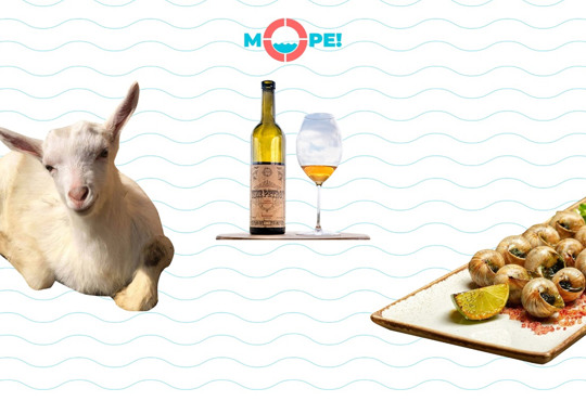 900 км і 36 гастролокацій: що пропонує Дорога вина та смаку Української Бессарабії