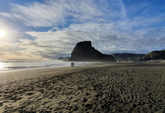 Нас спитали, чи ми програмісти, але ж ні! Як сім’я з Україна переїхала жити у Нову Зеландію
