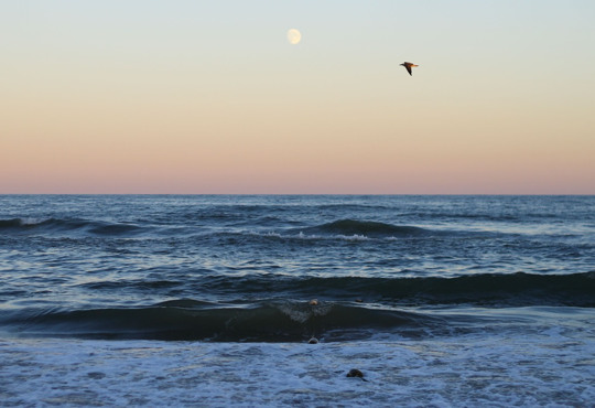 Майже половина українців планують відпочити влітку поза домом