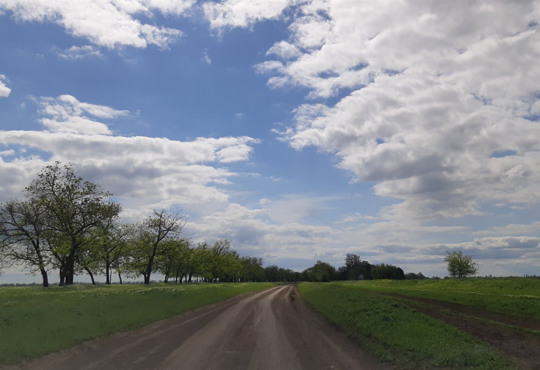 Курорты Одесской области. Как доехать, чтобы не потерять по дороге колеса