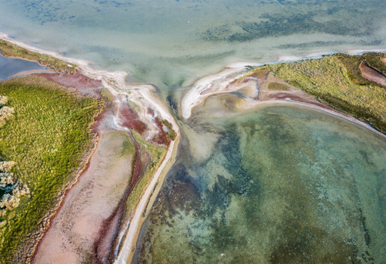 Дельфіни, степи, рафтинг. За чим їхати у нацпарки поблизу українського узбережжя