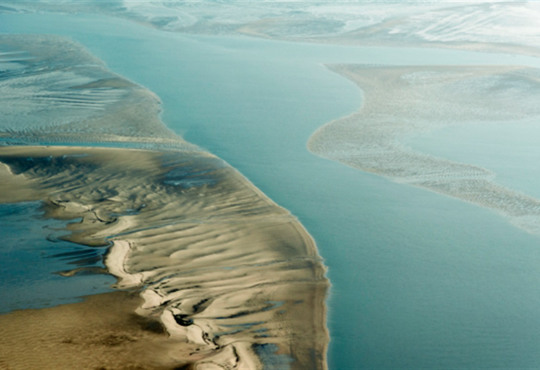 Google присвятив дудл Ваттовому морю. Чим воно особливе