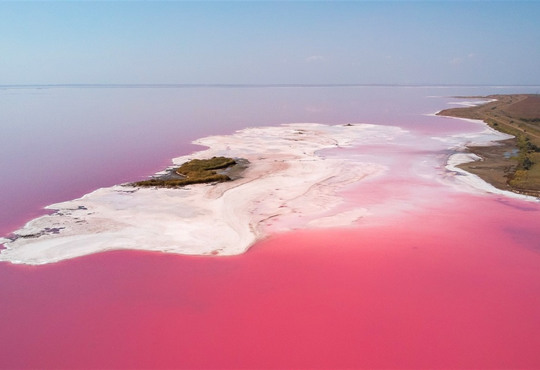 Джарылгач, Змеиный и Розовое озеро. Украинские диджеи сыграют сеты в уникальных заповедниках
