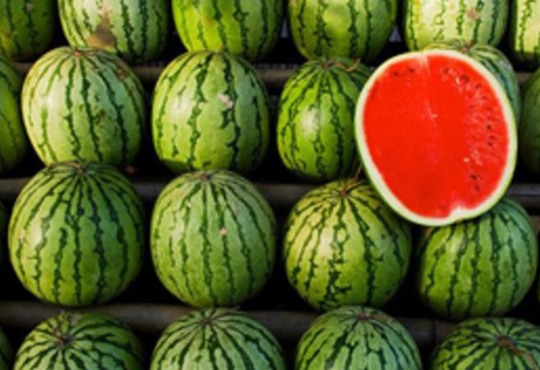 Херсонський кавун отримає міжнародне визнання