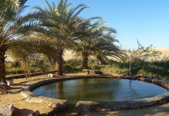 Не лише пустеля: сім мальовничих оаз Єгипту