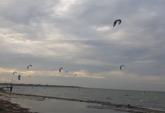 Геническ 2021: комары, божьи коровки, медузы и все, все, все