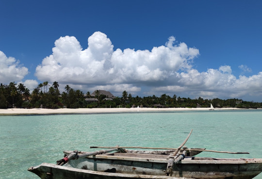 Від 7 тисяч гривень. Sky Up відновлює продаж квитків на Занзібар