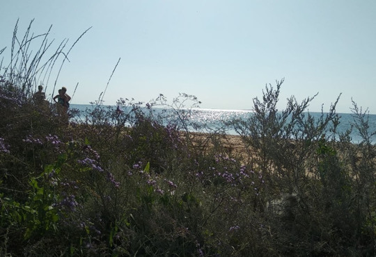 Відпочинок на Сиваші: вода, яка тримає на поверхні, степ та Крим на горизонті