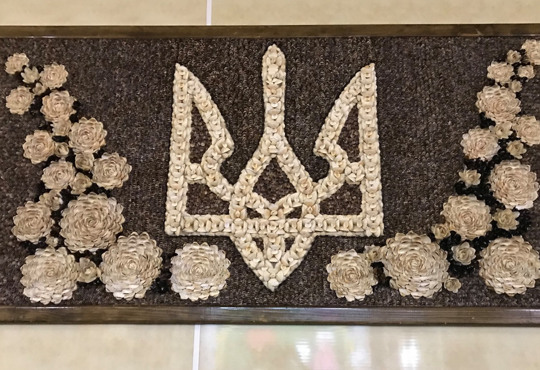 Музей азовской ракушки в Юрьевке: три рекорда Украины, 29 видов ракушек и портрет Кузьмы