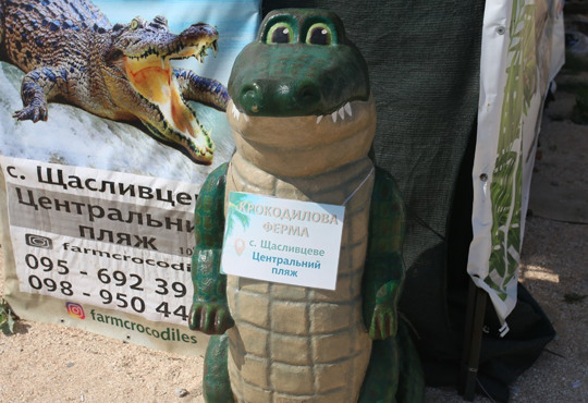 Пластикові вікна і штучна трава: "Крокодилова ферма" у Щасливцевому