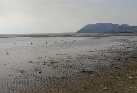 Азовське море відійшло від берега. У чому причина?