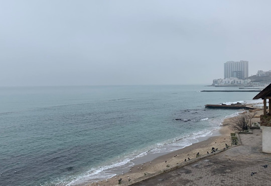 Якою буде погода на Новий рік 2022