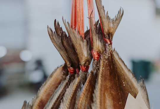 Сушеная рыба – не только вкусная закуска, но и полезный для здоровья продукт