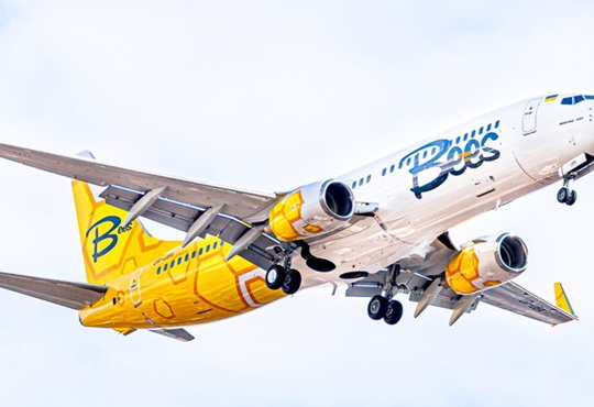 По 50 доларів: розпродаж у Bees Airline