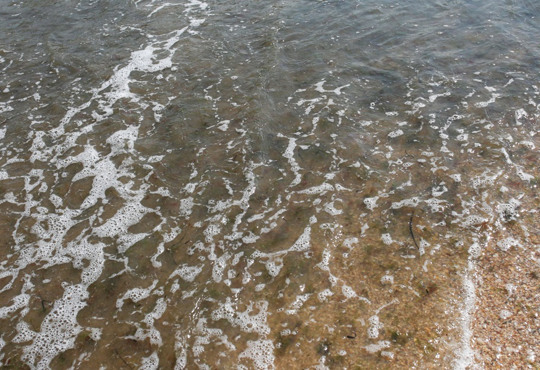 К чему снится море?
