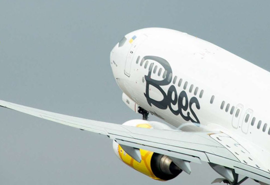 Освідчення на борту і 25% знижки: акція від Bees Airline