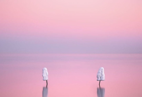 Фотографія одесита увійшла до найкращих фото у престижному міжнародному конкурсі (оновлено)