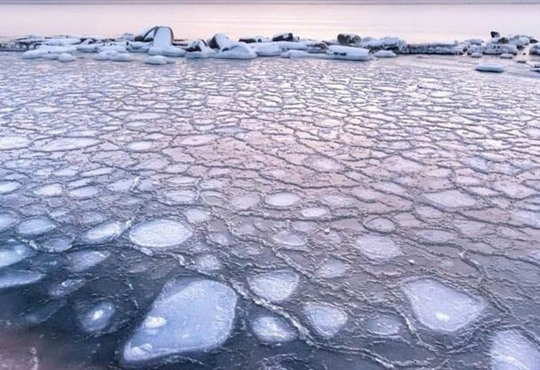 "Замерзлі медузи" в Бердянську: фото