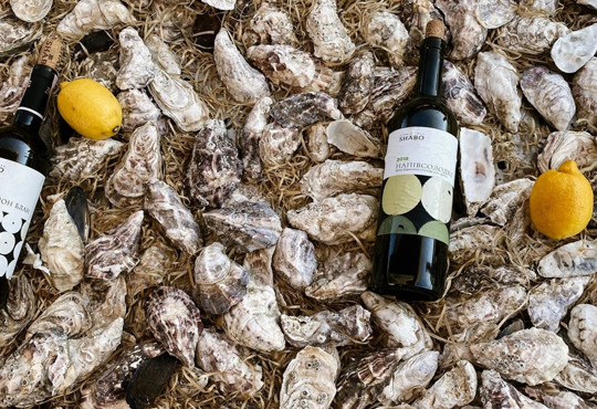 Устрицы, термы и вино. Куда поехать на День влюбленных в Украине у моря