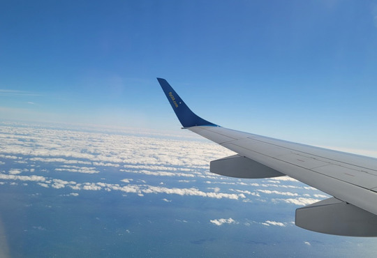 Лінивці, їдаки, ходаки. 12 типів пасажирів літака