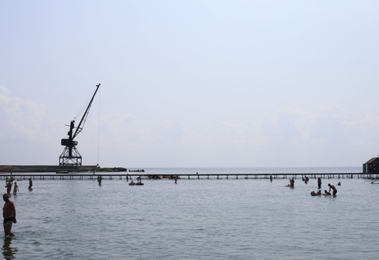 Дельфіни, пластик, цвітіння. Як змінився стан Чорного моря за останні 20-30 років