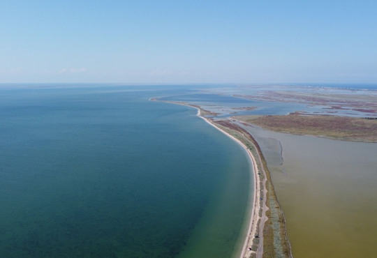 Завдяки порадам друзів та соцмережам. Звідки іноземці дізнаються про Україну?