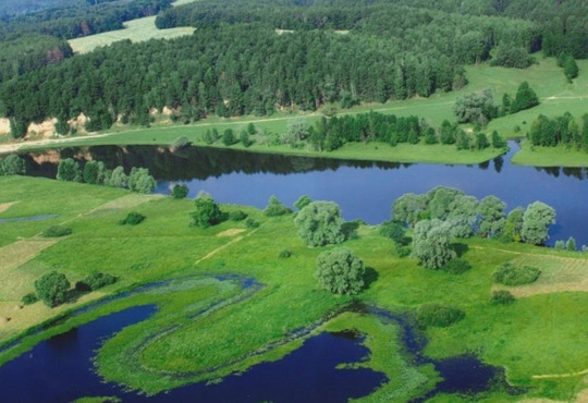 На території Каховської ГЕС утворилися нові екосистеми – еколог