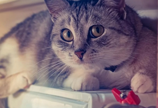 Південь країни має найбільші ризики під час опалювального сезону – експерт