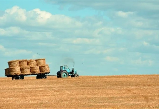 Мешканці півдня можуть отримати кошти на відновлення сільськогосподарської діяльності