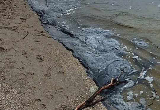 Чому на прибережжі Бузького лиману з’явилася чорна піна?