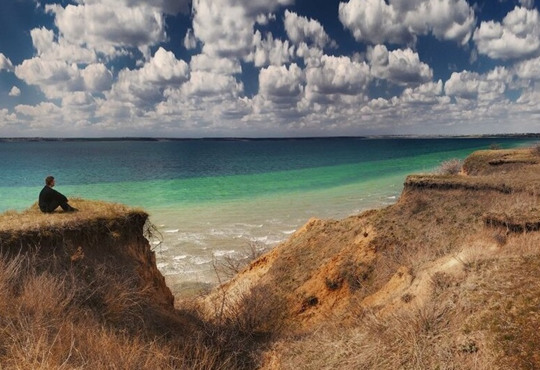 На Миколаївщині землі лісу біля моря незаконно передали у комунальну власність. Їх хочуть повернути