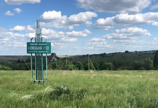 Тут можна побачити американських бізонів. Природний заповідник "Єланецький степ"