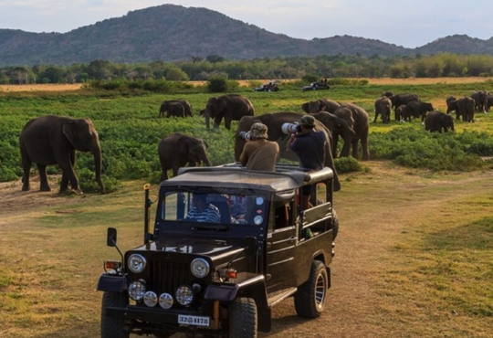 Шрі-Ланка: вибрати пляжний відпочинок чи екскурсійну програму?