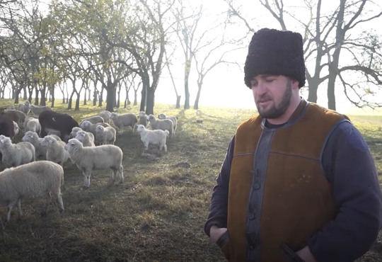 Бессарабці, що бережуть традиції своїх пращурів. Як живуть вівчарі на Півдні Одещини?