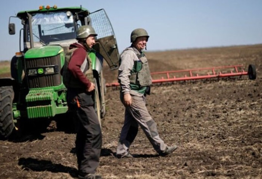 До праці стають пенсіонери та жінки. Як фермери Одещини справляються з втратою працівників
