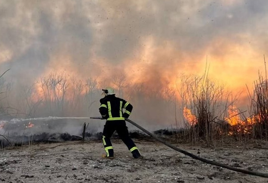 Горить трава та очерет. У плавнях Дніпра півсотні рятувальників гасили пожежі