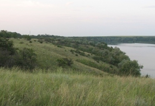 Якими є виклики у відновленні степів Херсонщини? Розповідаємо на прикладі Кам'янської Січі