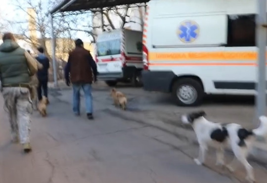 Як лікарня Гуляйполя працювала під постійними обстрілами? В мережі опублікували відео атаки