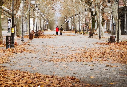 У Херсоні з'явиться провулок Поліни Райко та проспект Романа Шухевича. Які ще вулиці перейменували?