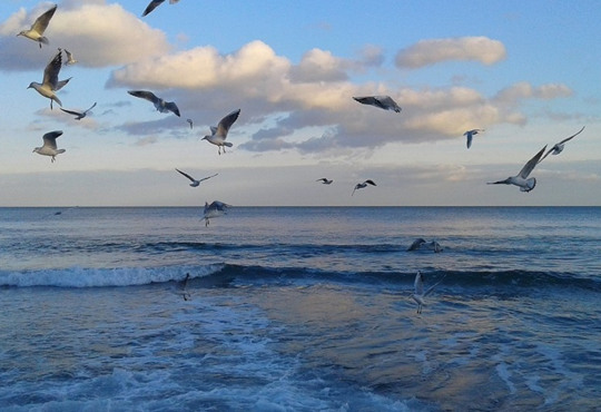 Топ сучасних українських пісень про море, які варто послухати